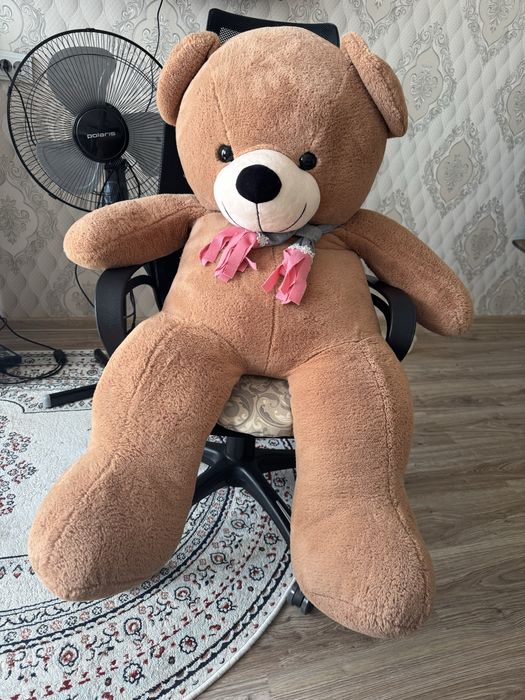 Төбеден жалаңаш