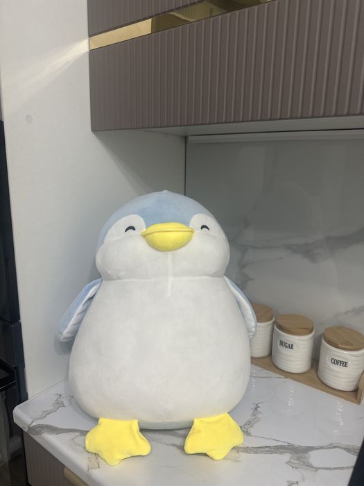 Олар барлығын бірден алады (фото)