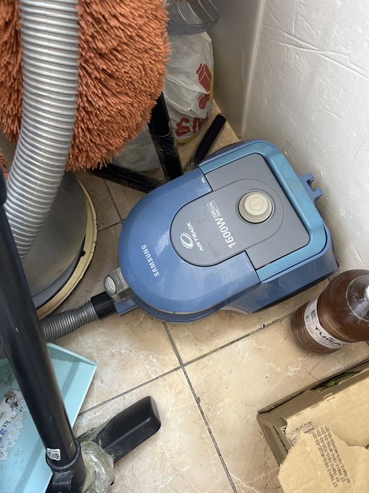 Жыныс жағдайы: ұядағы аталық безі