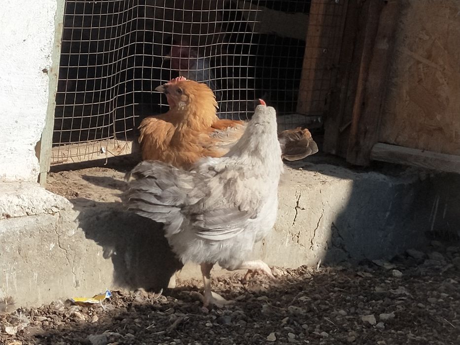 Онлайн кастинг