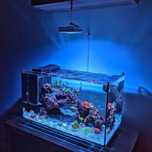 Кораллы, морская рыбка, соль, оборудование для морского аквариума