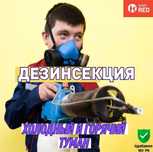 Дезинфекция от клопов кандала Гарантия! Договор! Шымкент результат100%