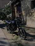 Racer Tiger 1 150
