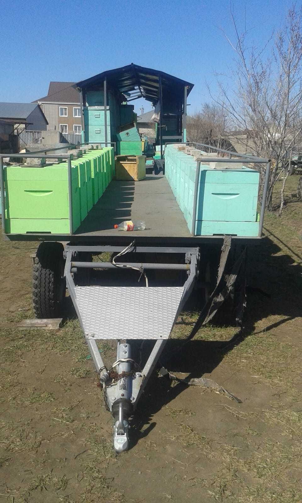 Товары для пчеловода