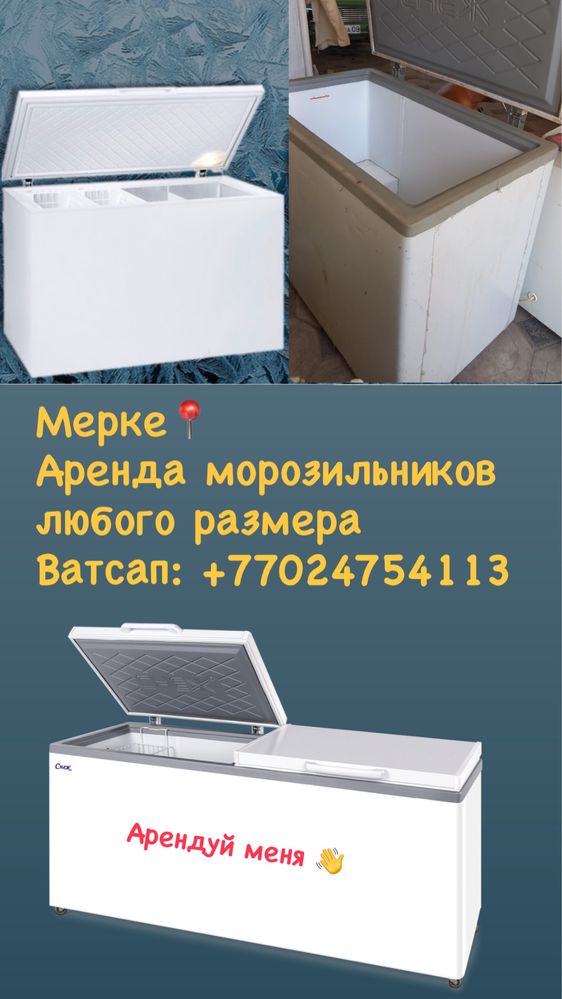 Аренда морозильник
