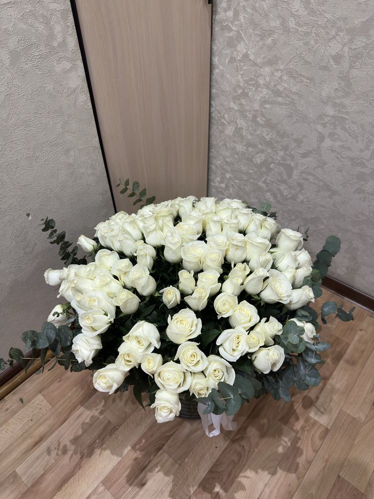 Цветы 101 Роза белый