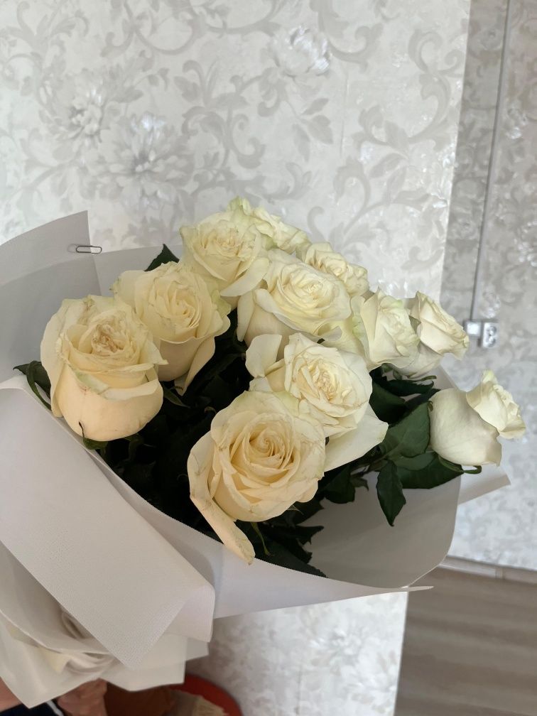 Роза цветы срочно продам