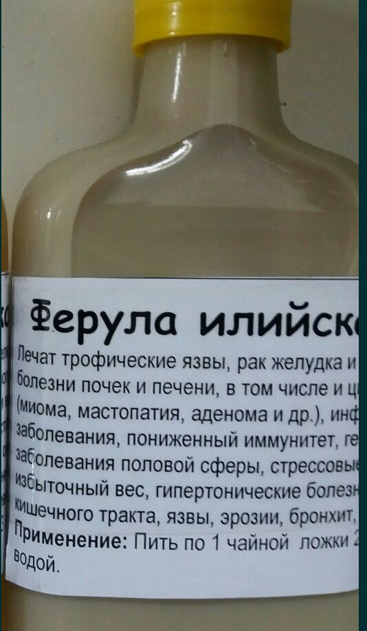 Живой сок горного лопуха с тургеньского ущелья