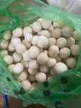 Продаём домашний курт
