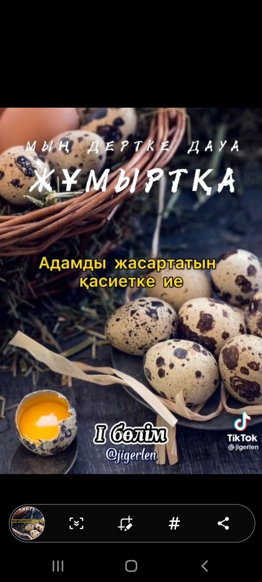 Перепелиные яйца