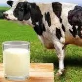Свежее молоко в продаже