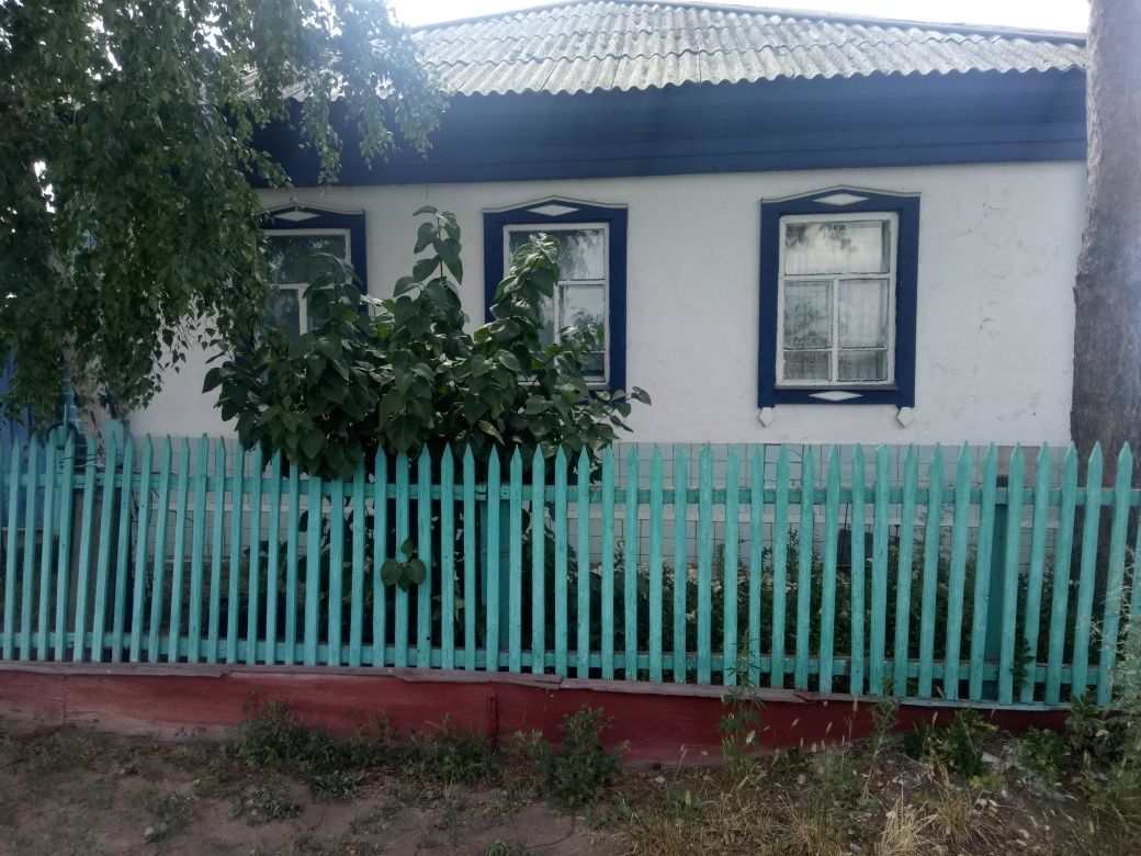 Частный дом в деревне