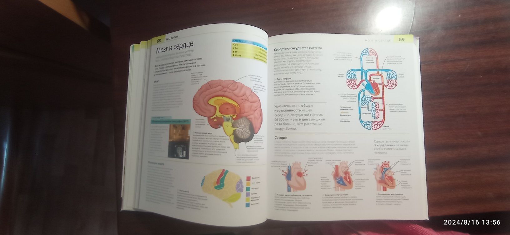 Продаю новую познавательную книгу