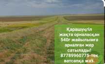 Жайылымға жер сатылады!