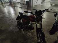 Yaqi 110cc сосная