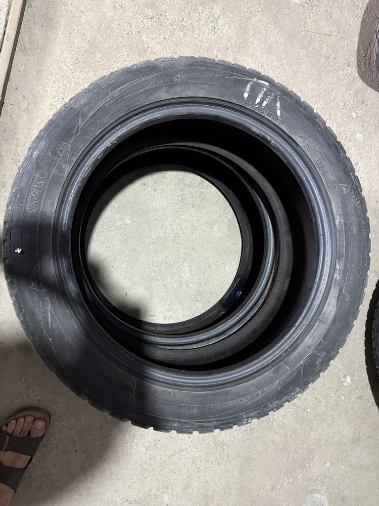 Шины зимние Nankang R17, 225, 50, 98T