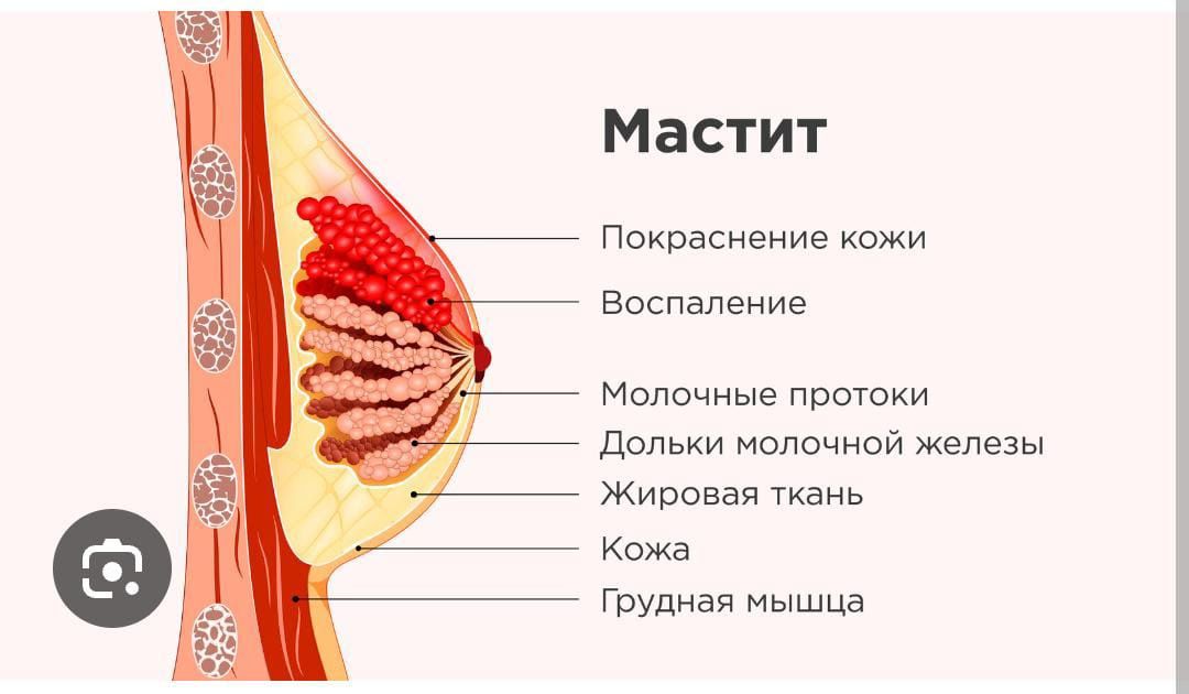 Объявление читайте