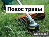 Покос травы триммером косьба шоп шабу Астана пригород