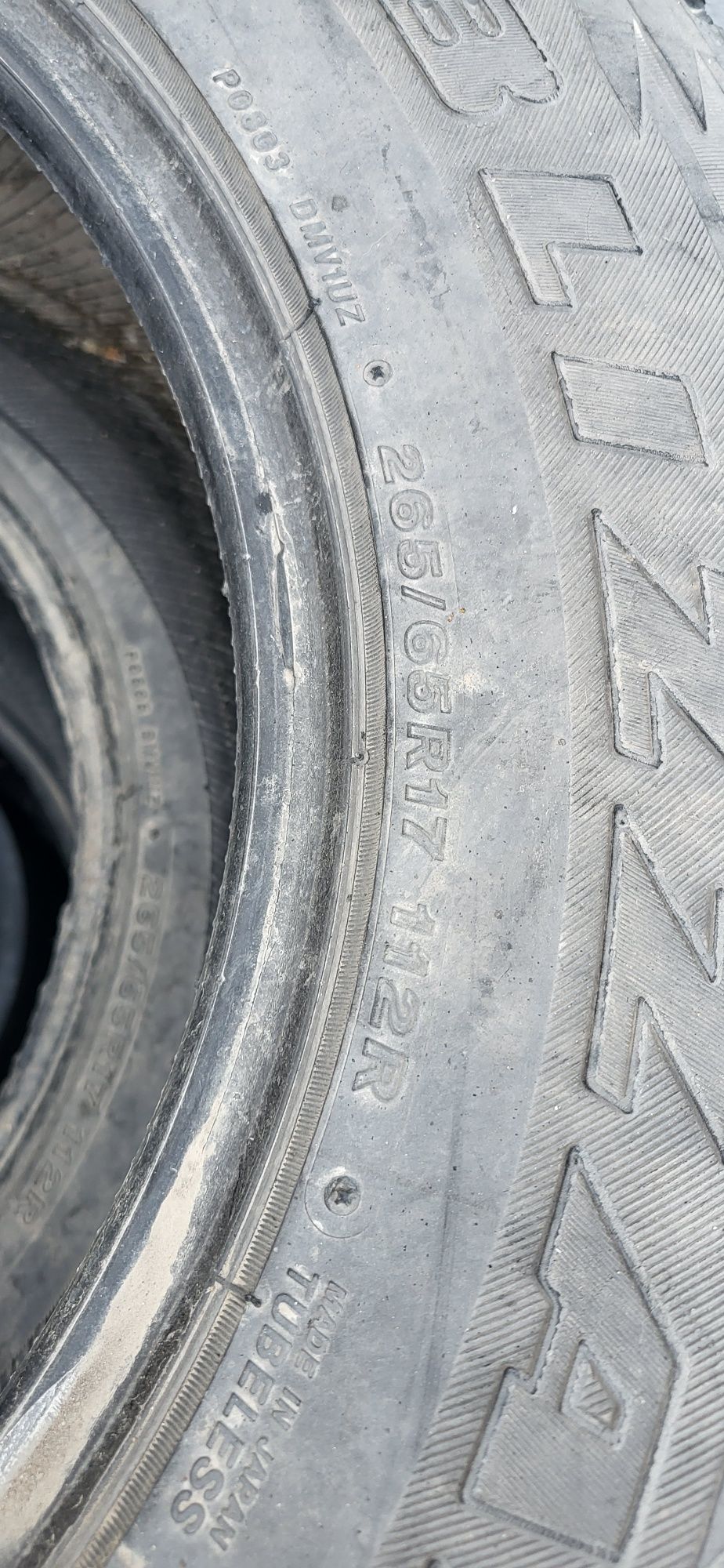Шины Bridgestone Blizak