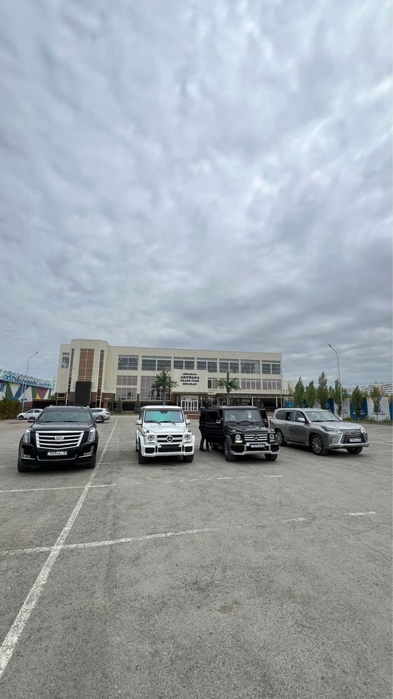 Аренда авто Прокат Кортеж Картеж Трансфер Выписка Роддом Гулянка То