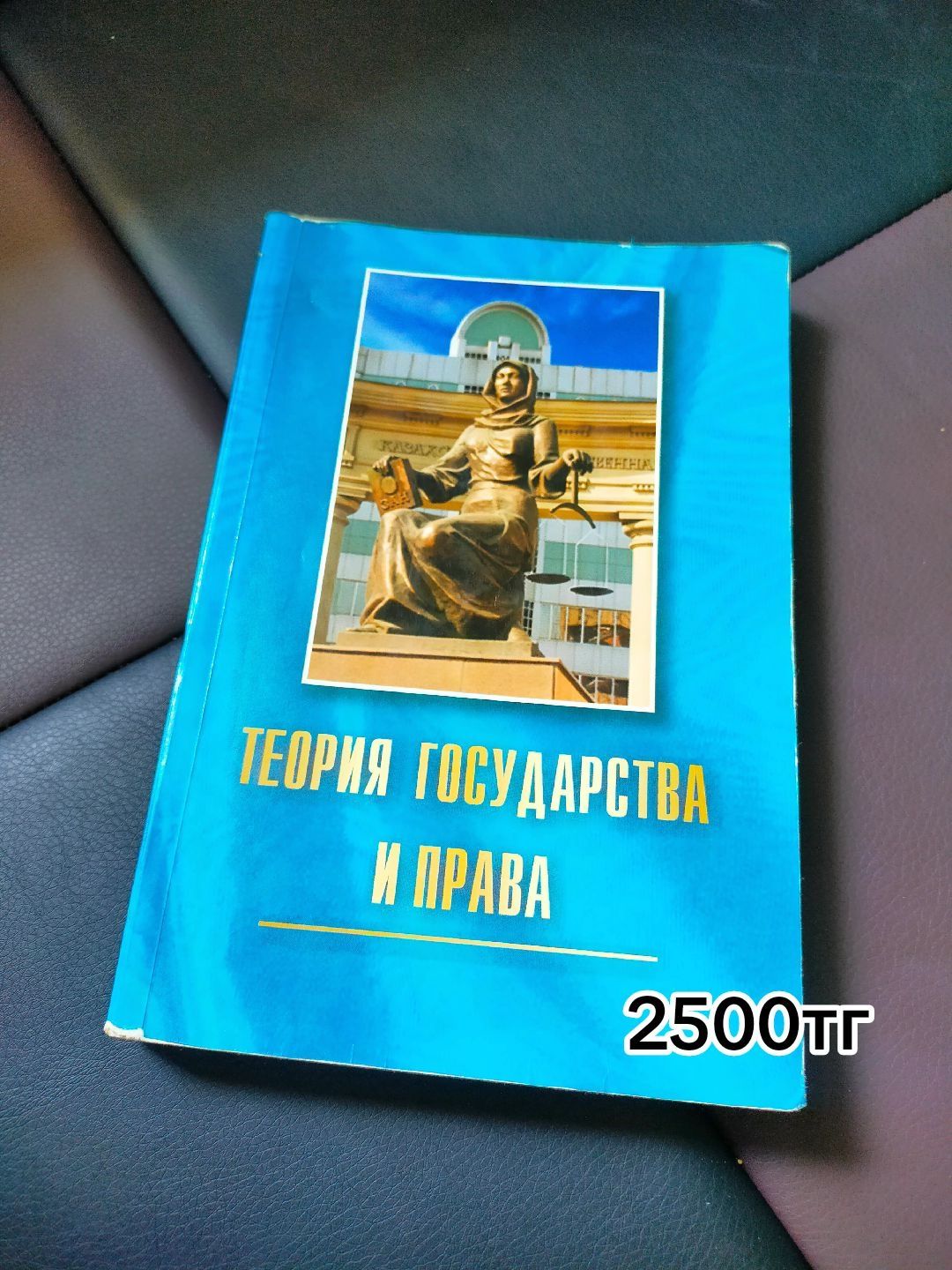 Теория государства и права кітап книга