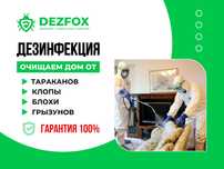 Санобработка Дезинфекция Квартиры Складов От Мышей Крыс Грызун Астана