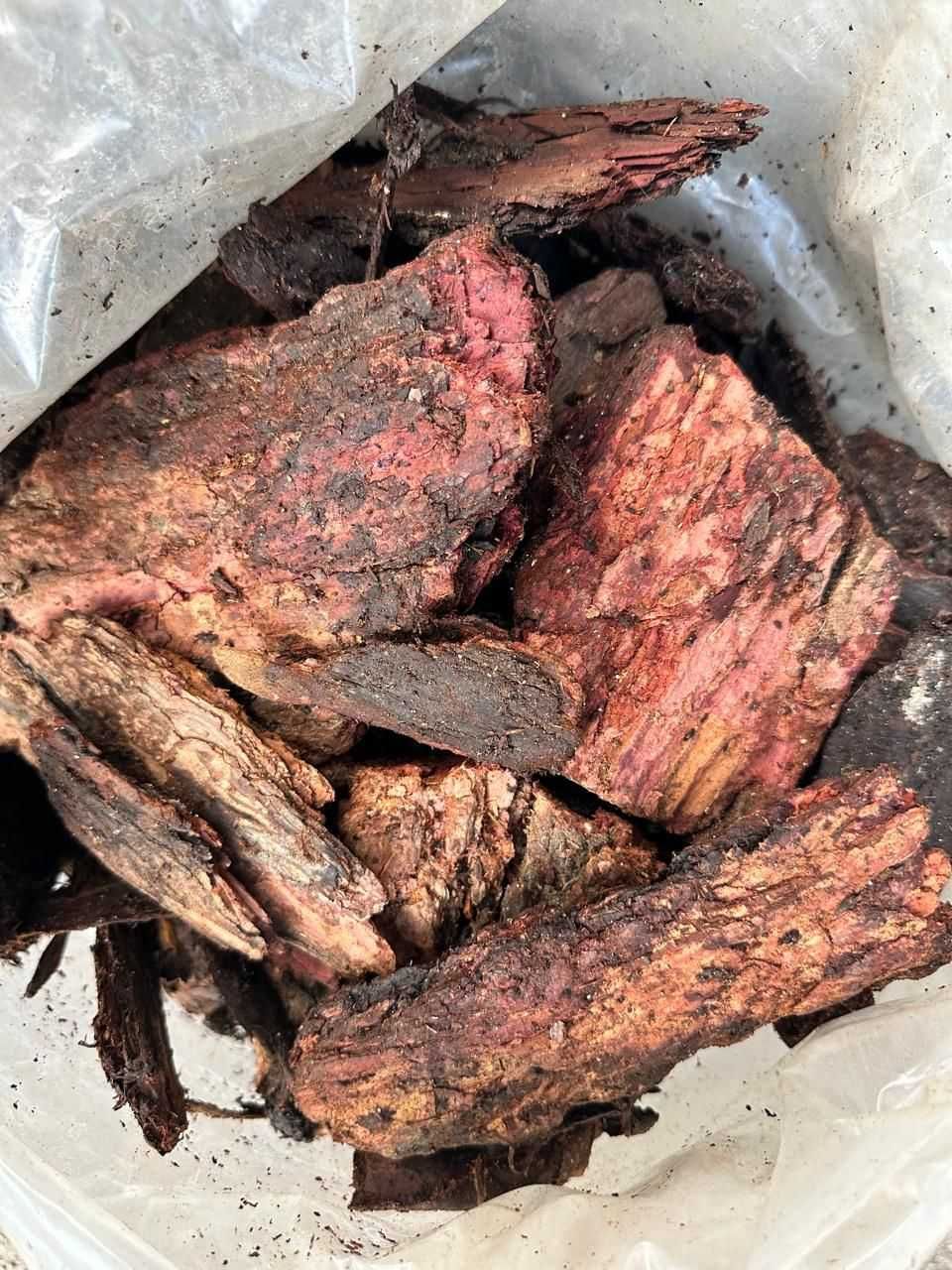 Мульча из коры лиственницы и сосны
