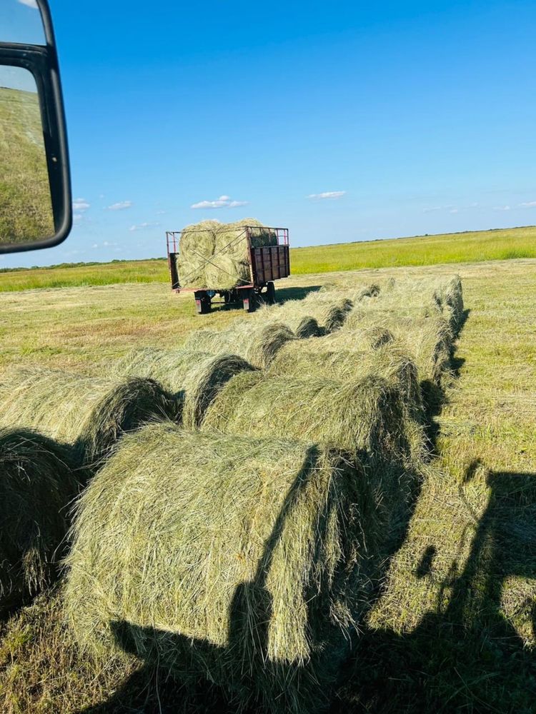 Продам сено в рулонах