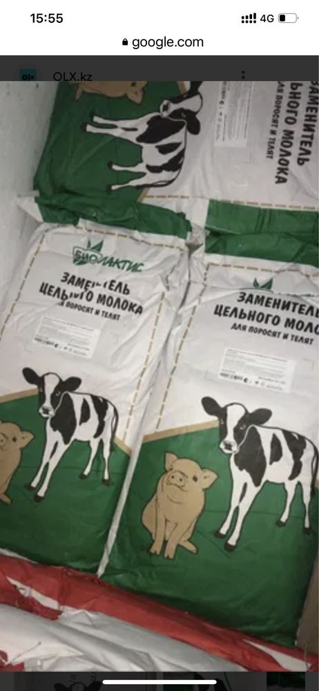 Сухое молоко зцм Биолактис Универсальное 16% 25кг