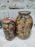 Продам Шампиньоны