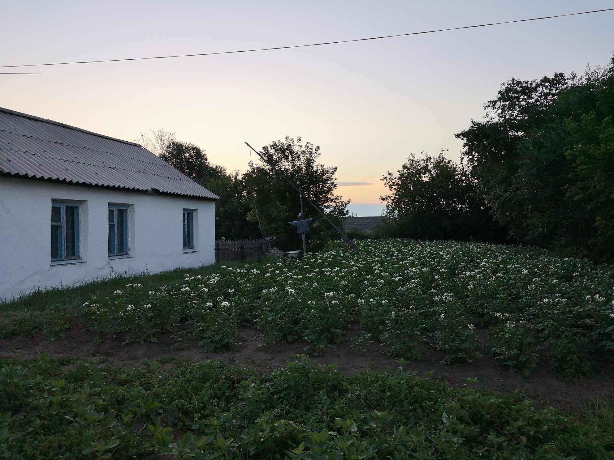Продам дом с очень большим земельным участком