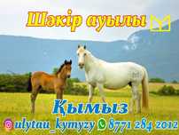 Қымыз Ұлытау Кымыз Ұлытау Майский Доставка бесплатно от 4х литров зв