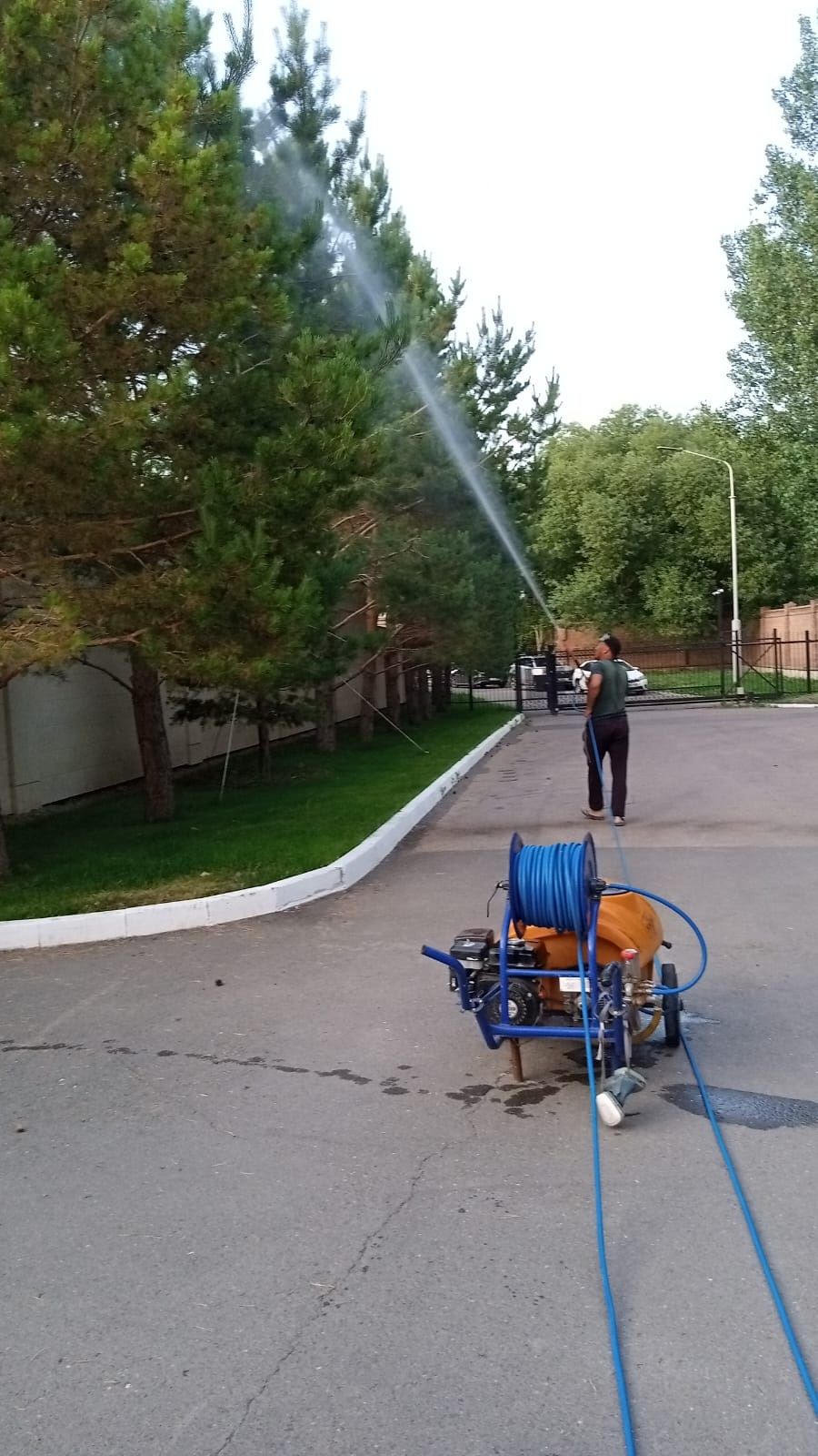 Посадка пересадка деревьев. Посев газона.