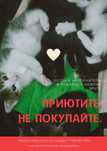Отдаем котят в хорошие руки