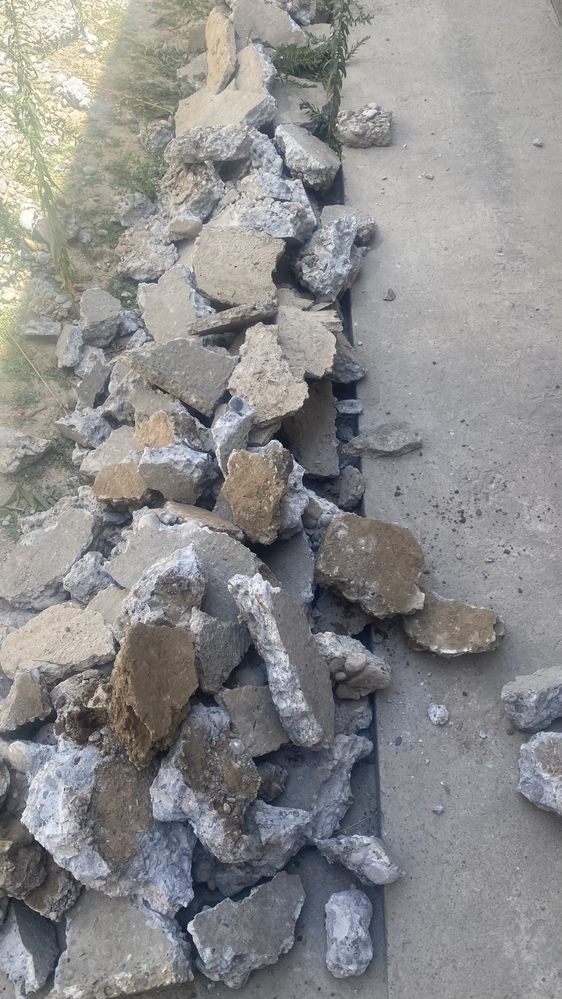 Блужник одам бесплатно
