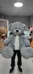 Тедди Teddy 90 | 120 | 150 | 180см Плюшевые мишки Серый Медведь