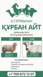 Құрбан айт Курбан айт қой кой овца