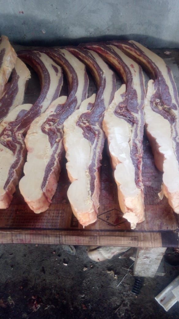 Продаётся жирные лошади,семиз жылкылар с откорма