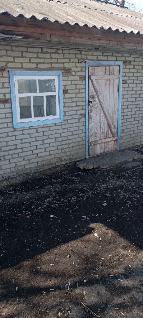 Продается дом в поселке Нечаевка