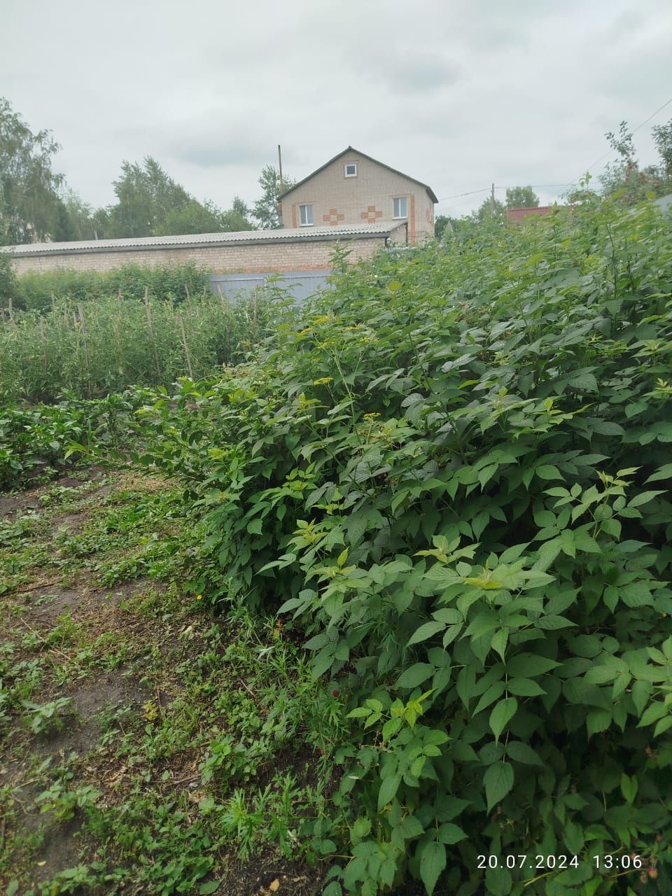 Продам 16 соток земли. Рабочий поселок.