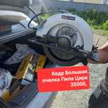 Пчелки Новые КЕДР 35000+1500 Доставка по городу