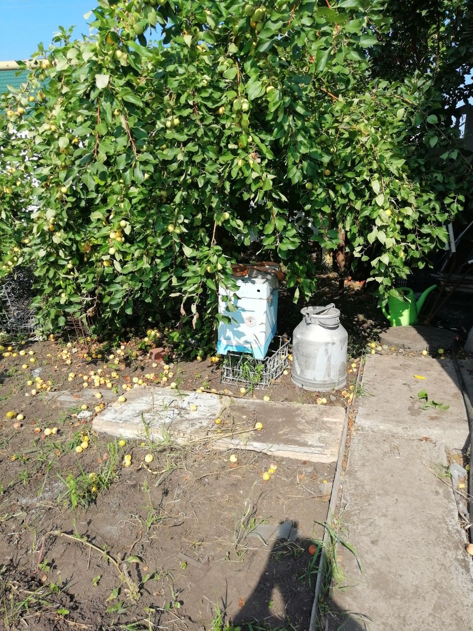 Продам дом в районе города