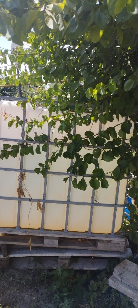 Продам кубовку, целая .