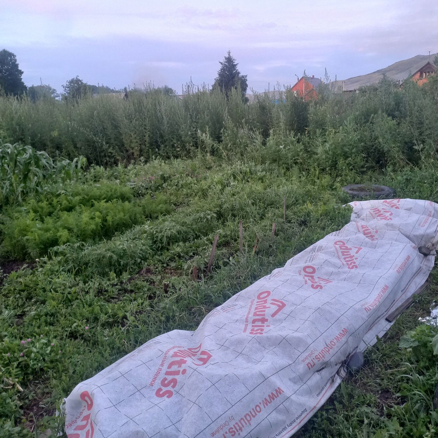 Продам  дом в Самсоновке на берегу речки.