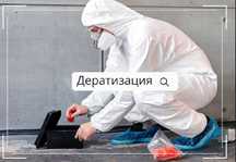 ГАРАНТИЯ ГОД Борьба с грызунами Служба по борьбе с клопами/тараканами