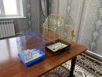 Продам клетки для попугаев