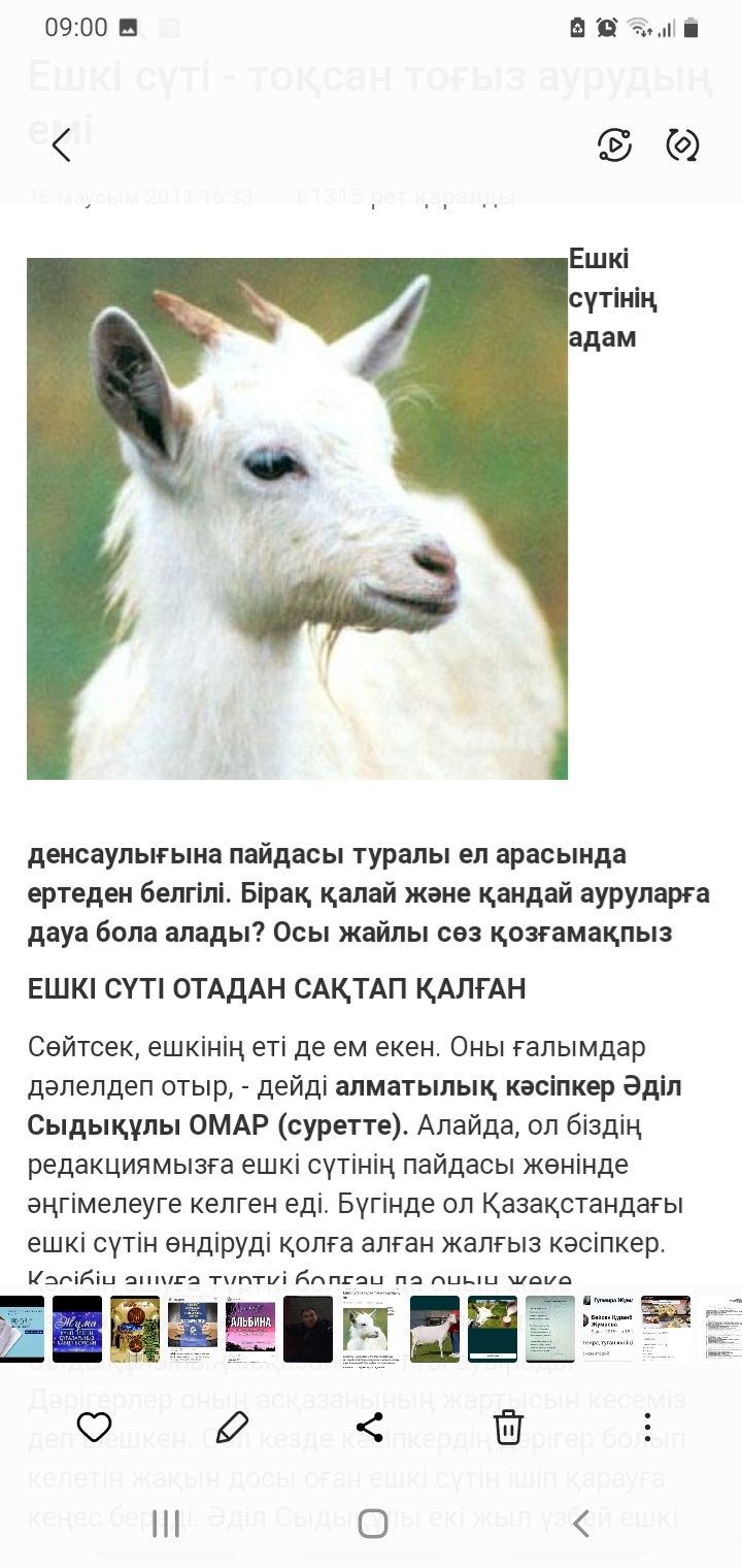 Ешкі сүті сатылады