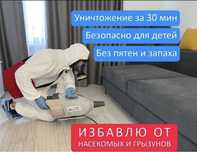 Дезинфекция Уничтожение клопов таракан муравей жук коред гарантия