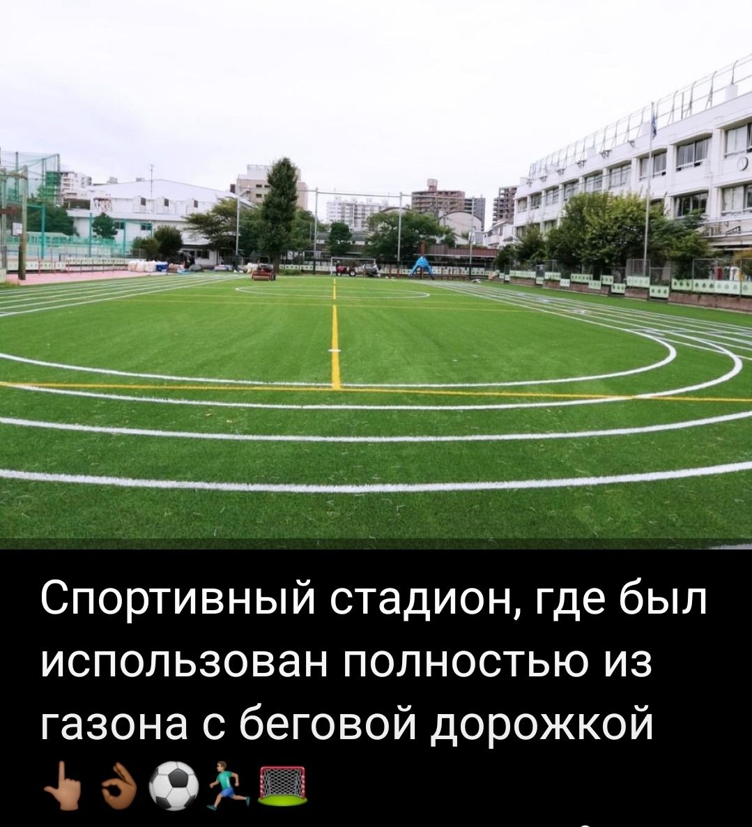 Футбольный газон / Спортивный  газон/ Ландшафтный / Трава для футбола