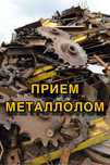 Прием металлом самовывоз